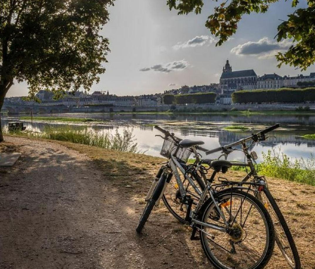 Gite Ker Sologne Chambord Huisseau-sur-Cosson エクステリア 写真